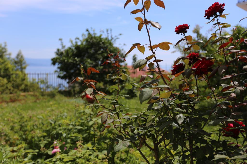 Villa Vera Ičići Dış mekan fotoğraf